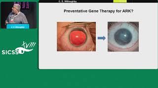 SICSSO 2019 - ITA - C. E. Willoughby (UK) - First step in developing a gene therapy for aniridia rel