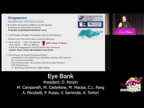 SICSSO 2018 - ENG - C. L. Pang (Singapore) - How it works in Asia
